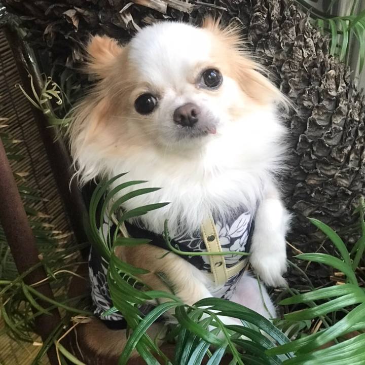 5a603927 3d8e 4cb7 b3d3 8f7e8f768b7b 1604753723291