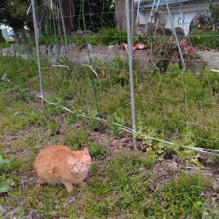 5a6068ae fb07 4246 b785 a0df116c8ca6 1746259743977