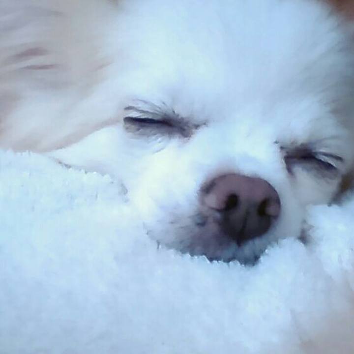 5a60700a a058 4695 93b4 501d0e70eafd 1508761909313