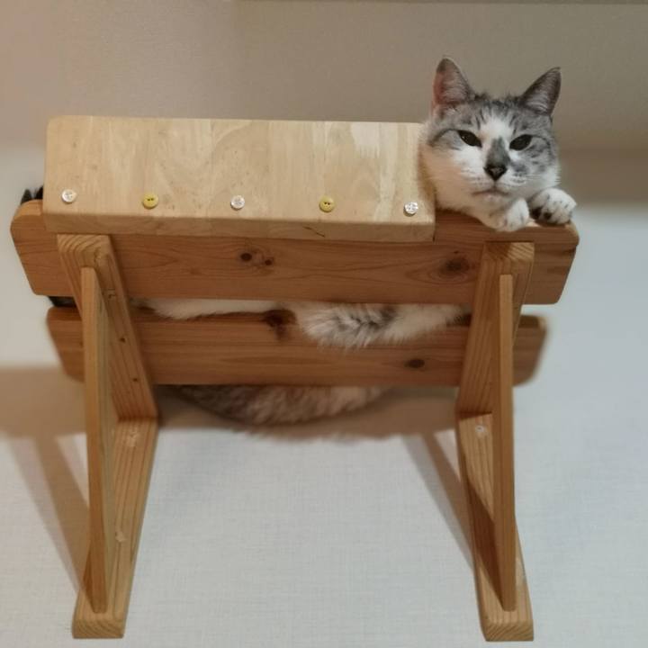 5a60a718 0669 4089 9c34 81a02785ea1c 1563673005535