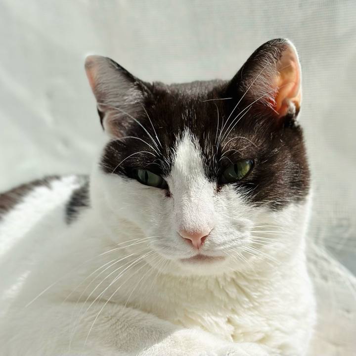 5a60d8c9 46b5 4d7e a78a d0cb9b66193f 1684198959469