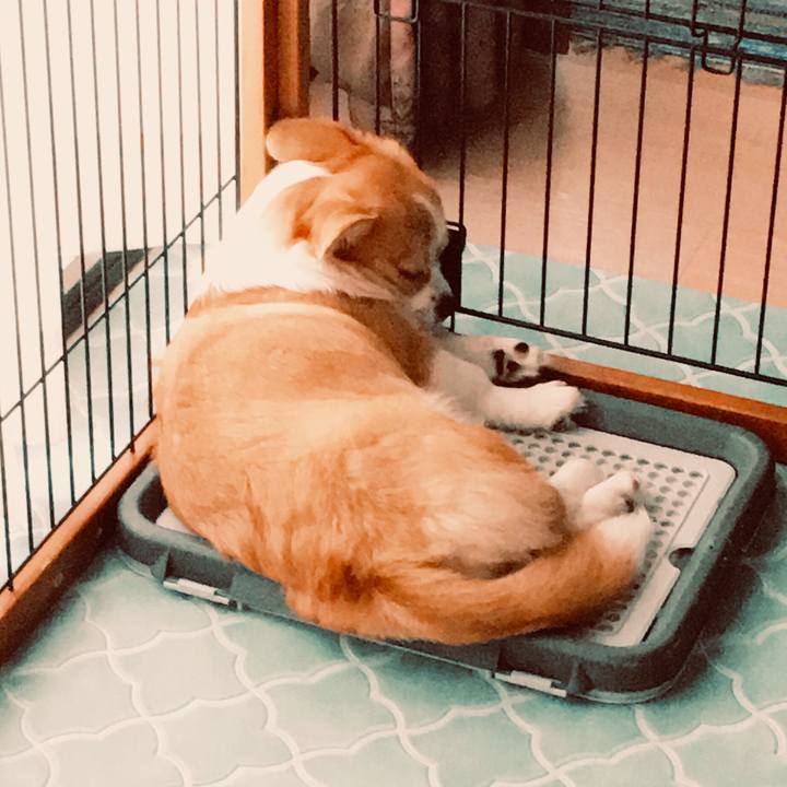 5a616b1c aa13 4b32 a1a1 60ccd2de29be 1565743939205