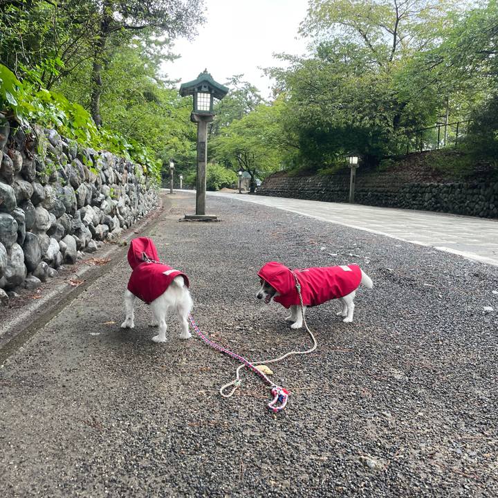 5a616da6 c37e 401f b343 e12678c2ac65 1726357240920