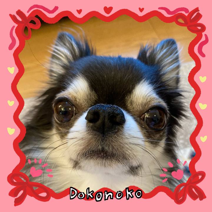 5a6187a4 64f3 43b4 a585 8aa9fc9effda 1706916589563