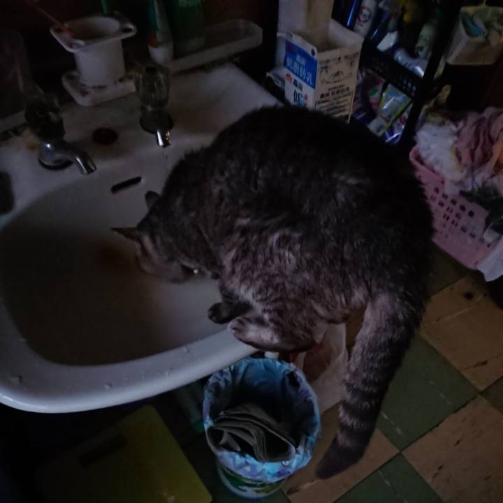 5a619b64 74df 4866 887b f376d35d8f6e 1574113533955