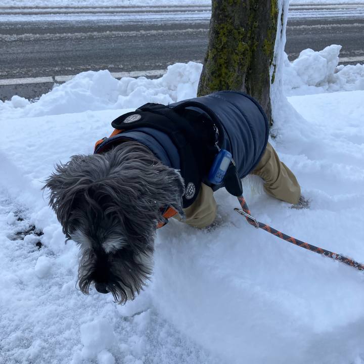 5a61ed27 d9f5 46a3 83a0 a5afa4bd0297 1768187536905