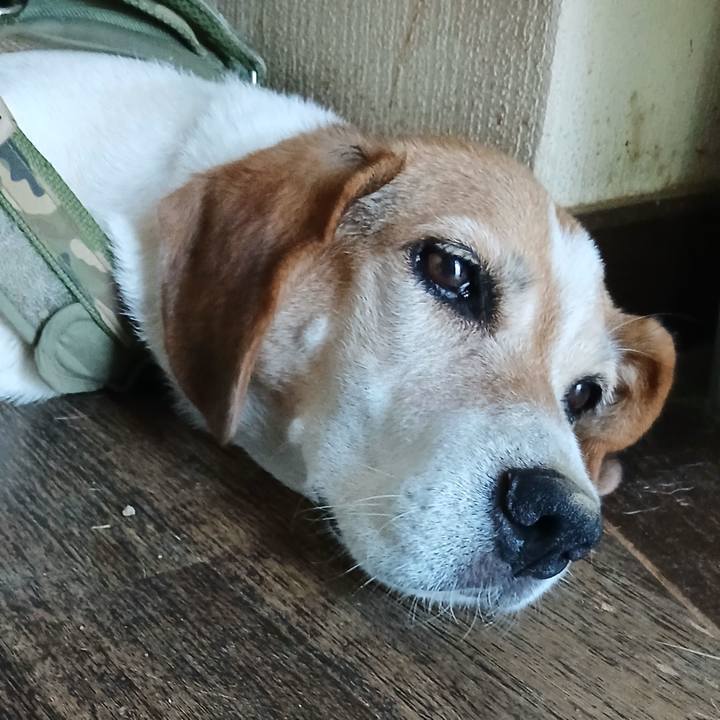 5a61f417 31d2 4e83 b769 f632855bb605 1754202514229