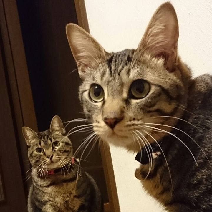 5a61fcd0 1146 4456 a2d9 3f50c14ebab2 1537666834485