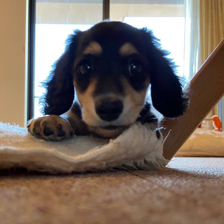 5a622843 4542 423f 989b 5a9c4bd99bdf 1664670467272