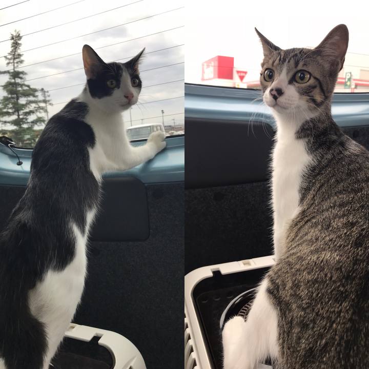 5a62ccf3 cfd3 4e82 9483 902db8d1b5dc 1602396987886