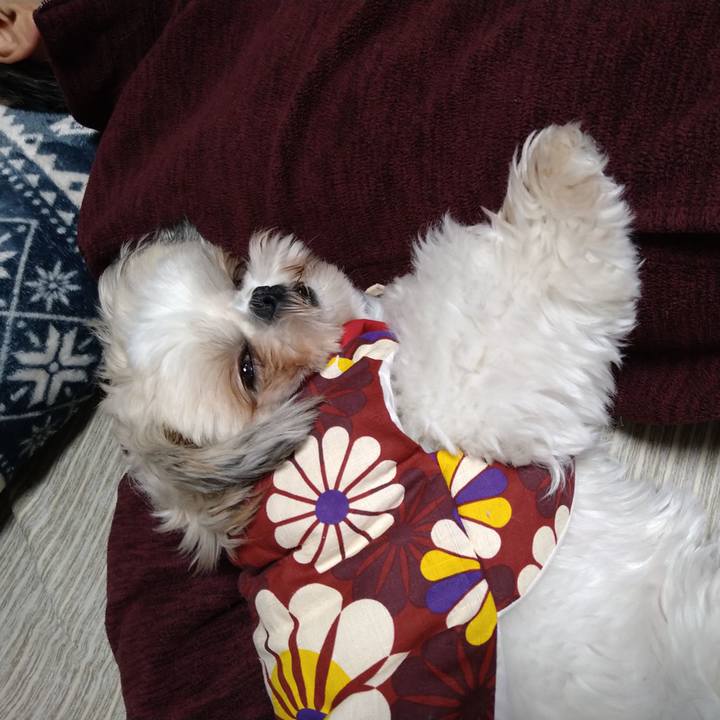 5a62e358 02d6 48be 8825 eb7410a41834 1611374678561