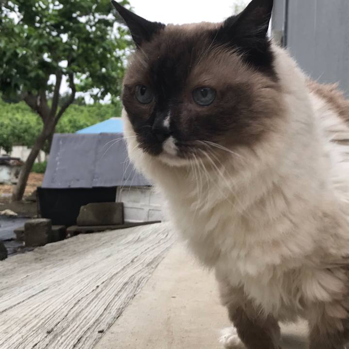 5a62eeef 825b 4f73 abe8 bb899d1b6504 1621290439917