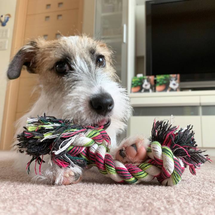 5a62ef43 f8ed 4d4e b252 6961239911a2 1566621299054