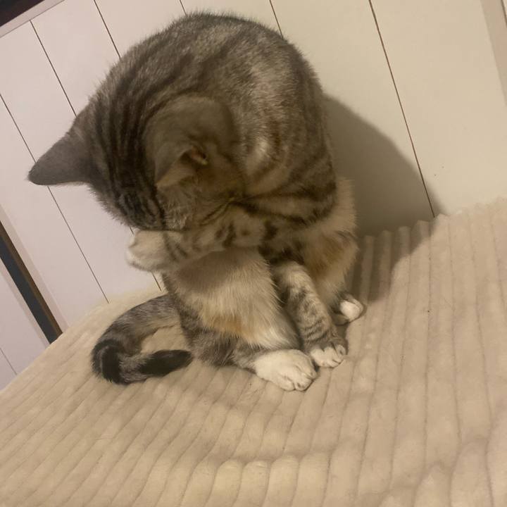 5a630f79 74dd 4e88 abaa 55d9a9726912 1717787337689