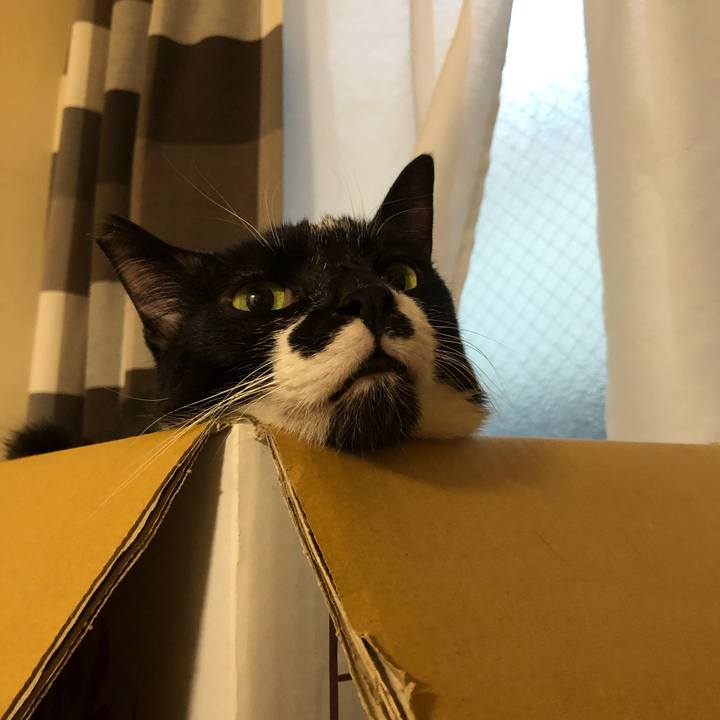 5a6372fa 3232 4633 848c 3bdfe557a34b 1549137009999