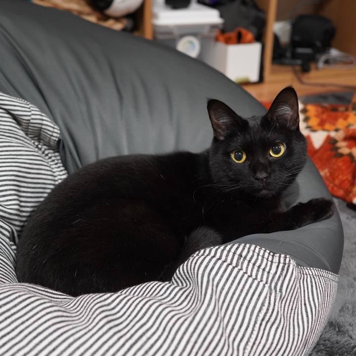 5a639a29 7d0f 4739 a960 3f0514fbe935 1608734322004