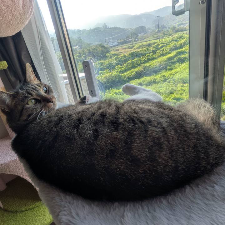 5a63bbfd 9b91 4a90 ac15 886accffc5ba 1755900612768