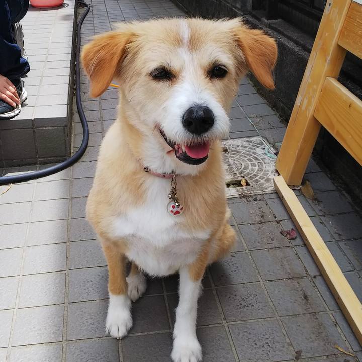 5a63f454 320b 483b 9b26 5028478301d9 1527307684871