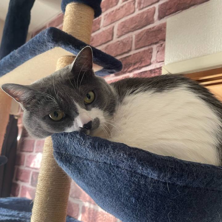 5a641c12 4f2a 4208 93c2 815d86179760 1733353150021