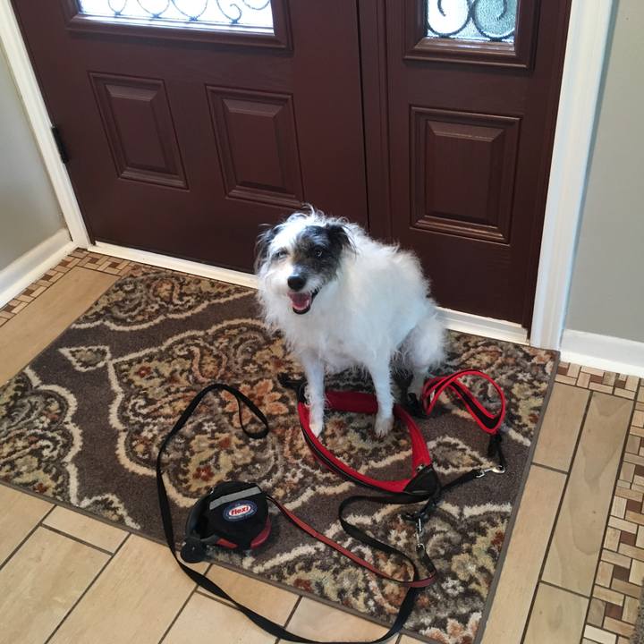 5a642f32 c7ed 4e66 8173 576f196ddc2a 1518907174706