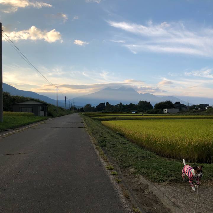 5a64386b d817 4b3d 8b5a c09b91509ed4 1568457106820