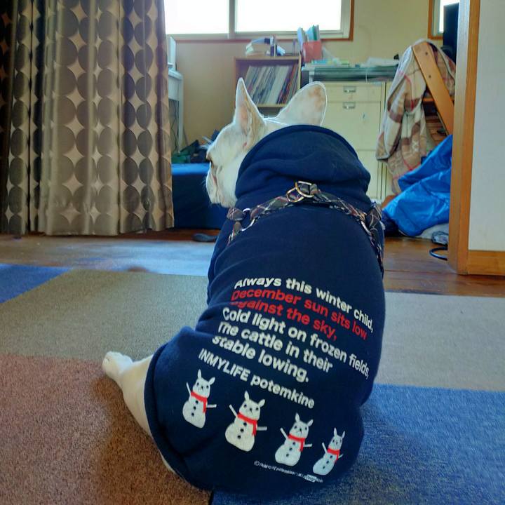 5a64a6a6 64a5 44ce ad49 230e3ef32984 1639615707323