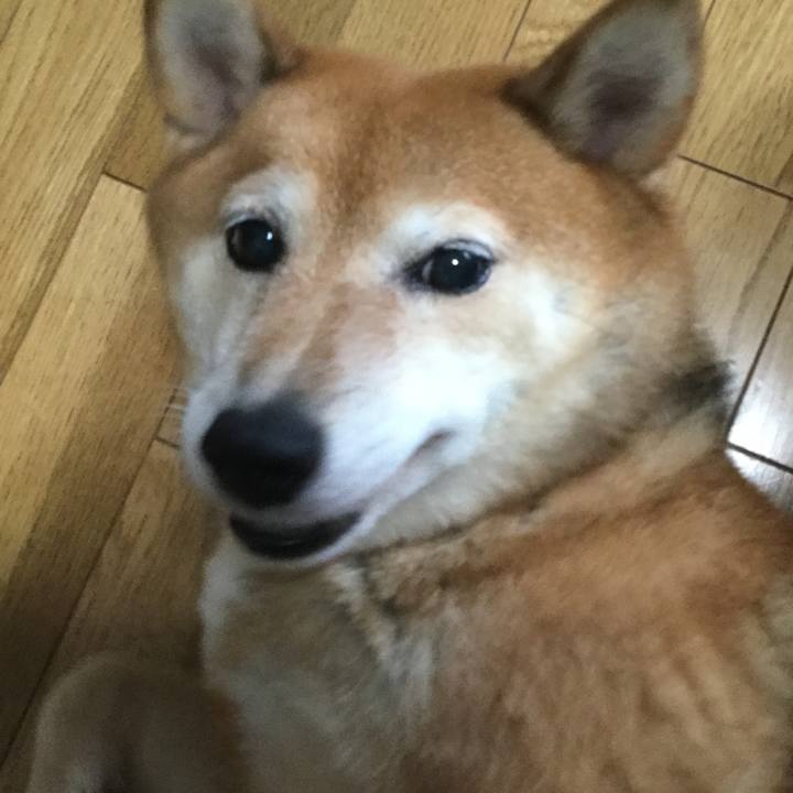 5a64aaac 4eb1 40aa bb5c e11040bde441 1594597040578