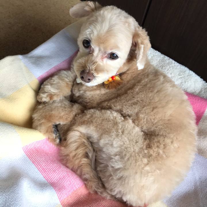 5a64d535 cdc3 4f97 845c ea01c4ed474f 1573215281753