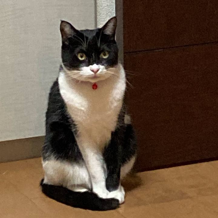 5a64ee99 98af 4ceb 9778 5d3000ac8a7c 1609686187282