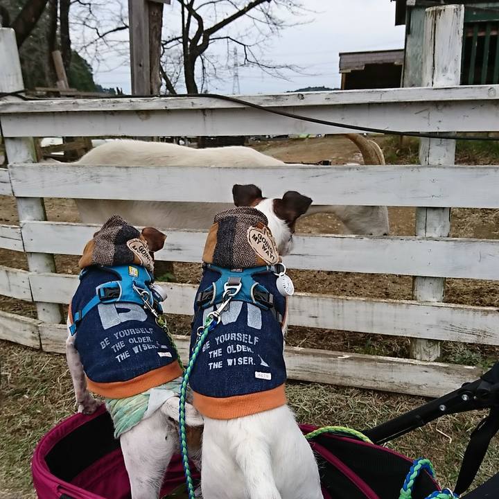 5a64fbda 48ea 43c7 9744 eccd741ab5e8 1572768960755