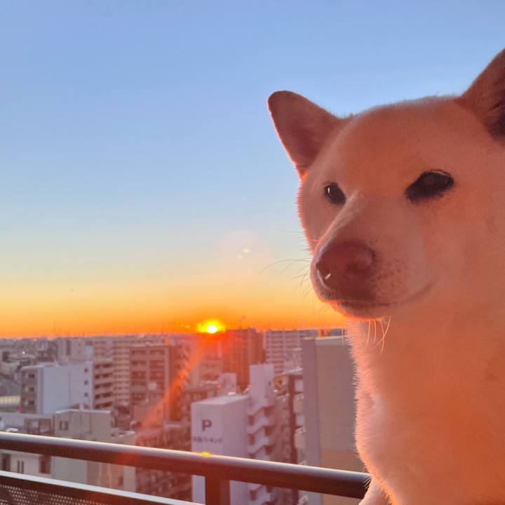 5a65103e 44a2 4f1f 8292 257713c21fb7 1641000018649