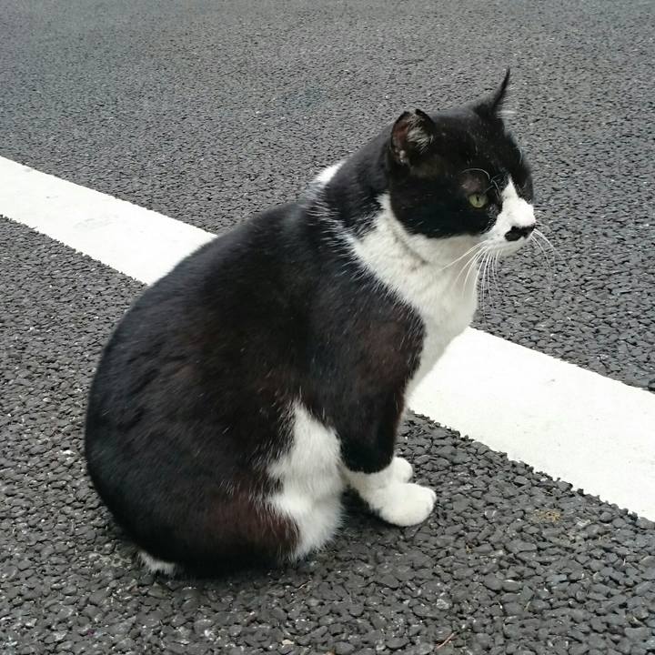 5a652a99 6dce 4aeb aa95 a4e9668a5022 1514082287569