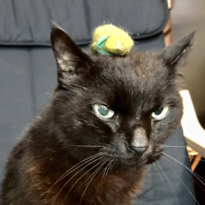 5a652ce1 6591 49ab 80f9 aae8ea4653d0 1532837875665