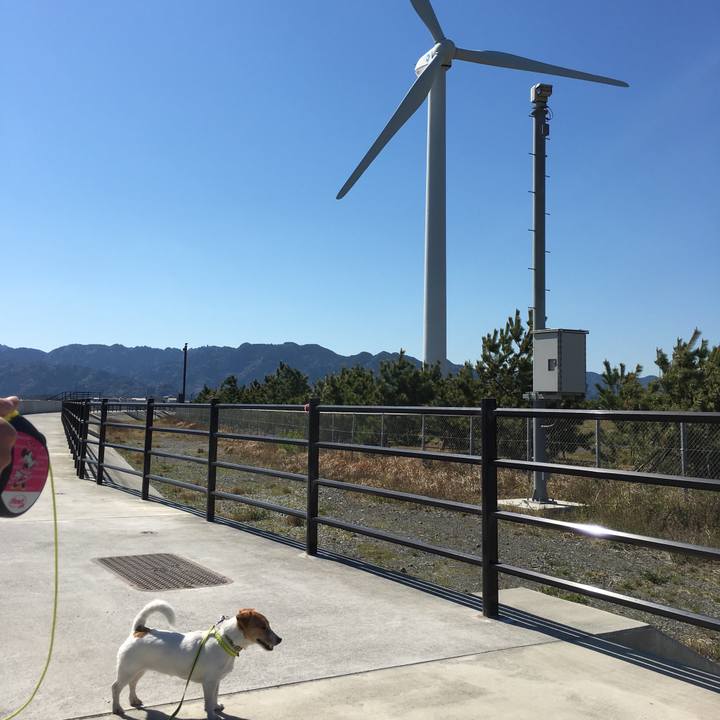 5a6530c2 d688 4b5a be2e 81e93f6764b0 1553408707664