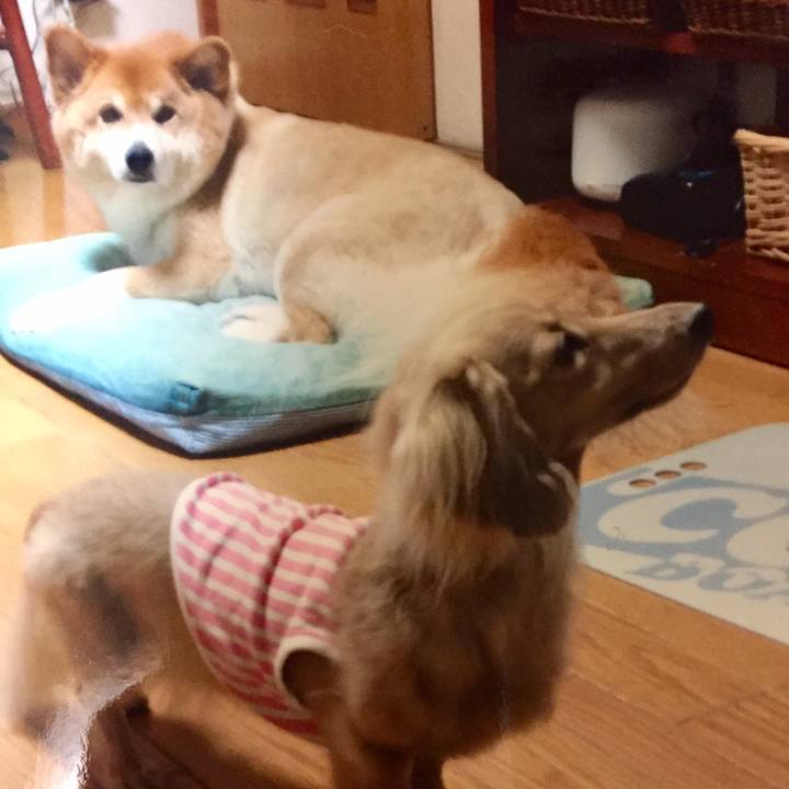 5a65335e 0bd4 4475 9d73 3e1e4db08ab4 1508071805782