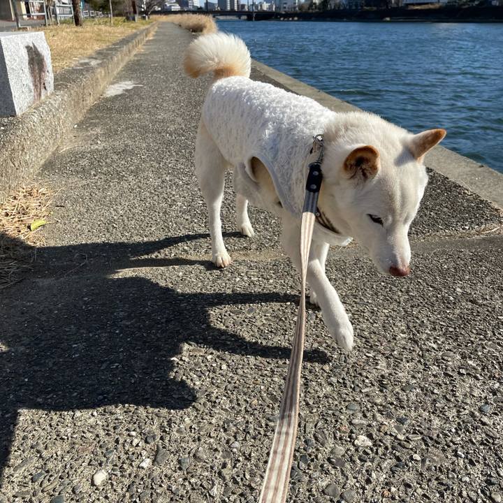 5a6578bc d984 4766 8c41 ca4bb40df9cc 1640950813073