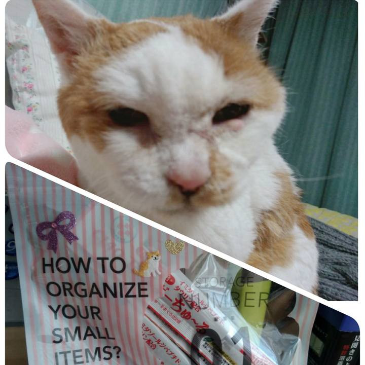 5a65cfa7 e25a 483a aa38 3152eed51fc0 1615285853084