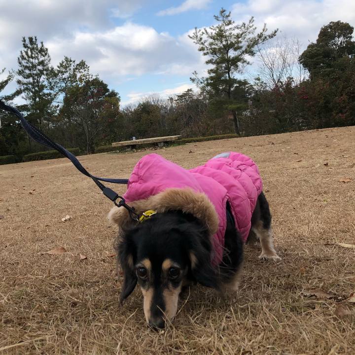 5a65dbbe 5c79 46f0 b4bf f5c58eb25231 1609573128578