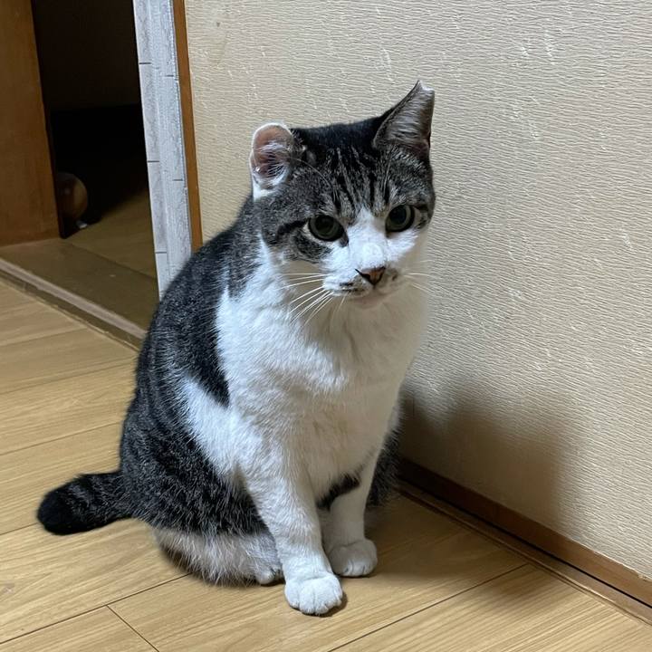 5a65f512 9668 4b66 96da 61e6df73cd50 1633080431101