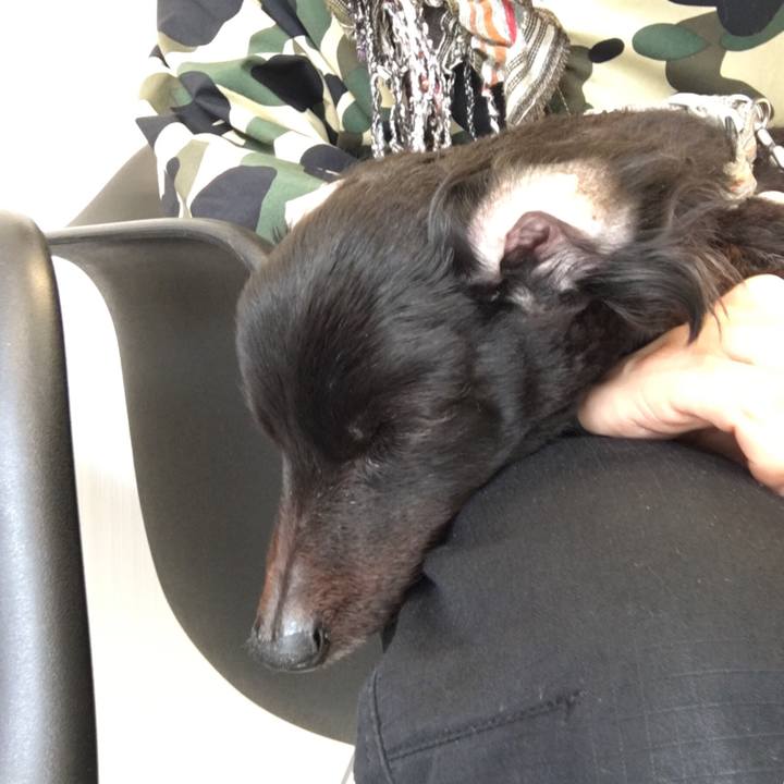 5a65f5e9 7311 4b2a ab29 f36b6f0b0d6c 1552530089522