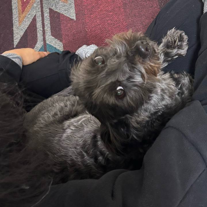 5a661d7f ad3d 4fa5 a705 7d9101706688 1767708007485