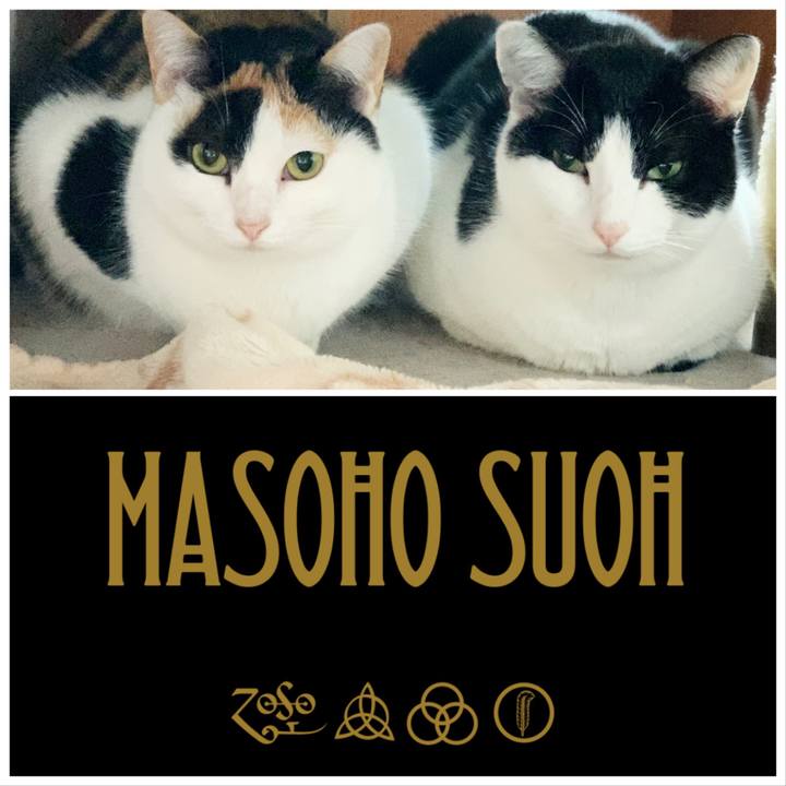 5a6624ed 99cf 4c89 b8d5 382e21294d79 1550974620446