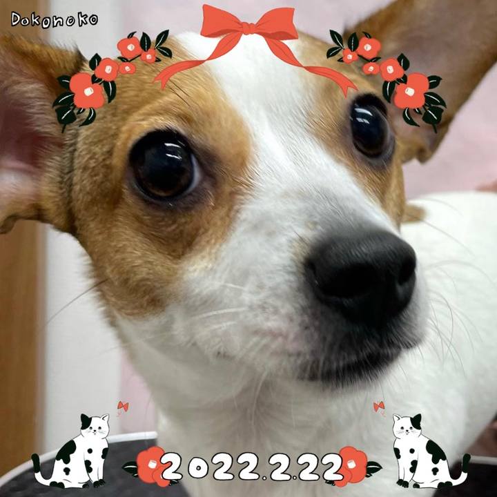 5a66385b ddc1 477b 8dc3 274da41c91f6 1645523505173