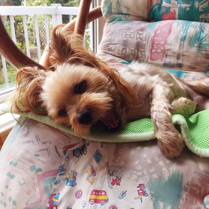 5a664cc0 5cde 4a30 97d3 bb6cf881a132 1536544511117