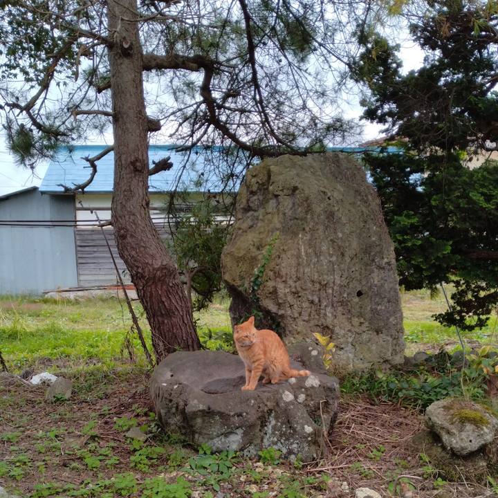 5a66d9cd 47d6 4e3d bd43 b7c4b4de7103 1665296764138