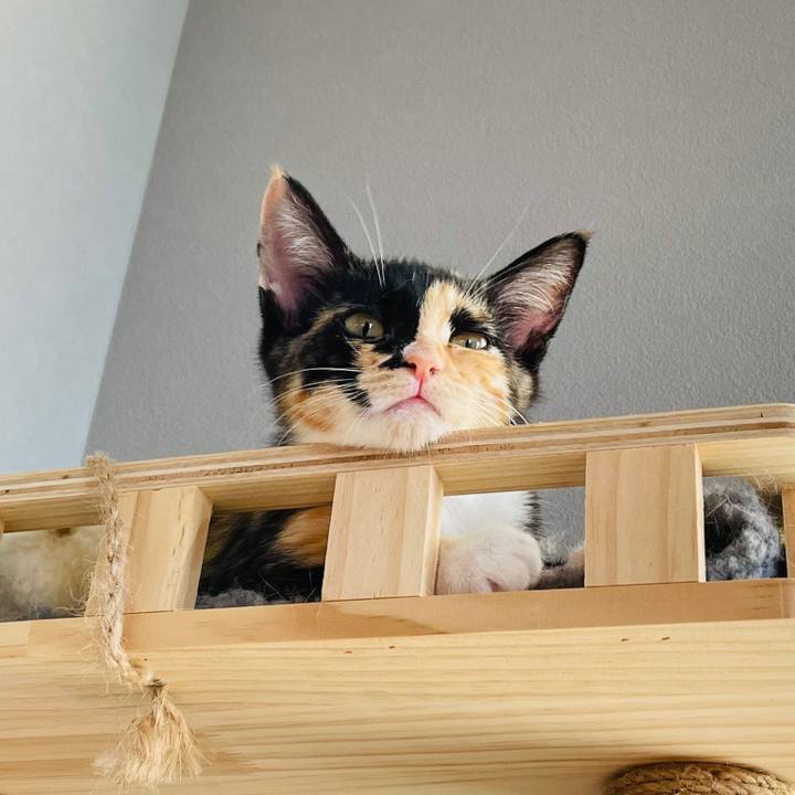 5a670769 8add 43bf 8b7e 3d1f6f619221 1627897390078