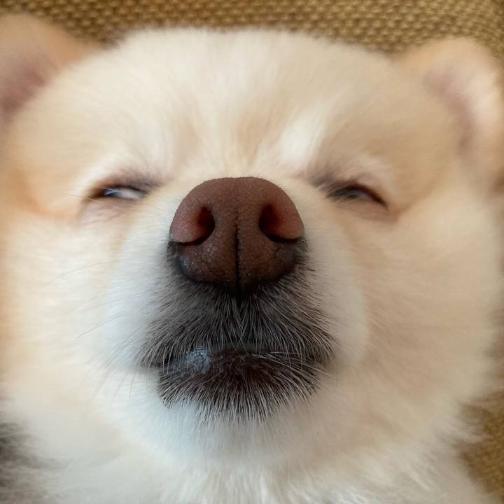 5a670a75 7b1d 4435 a611 2875e13cde2a 1630496585391