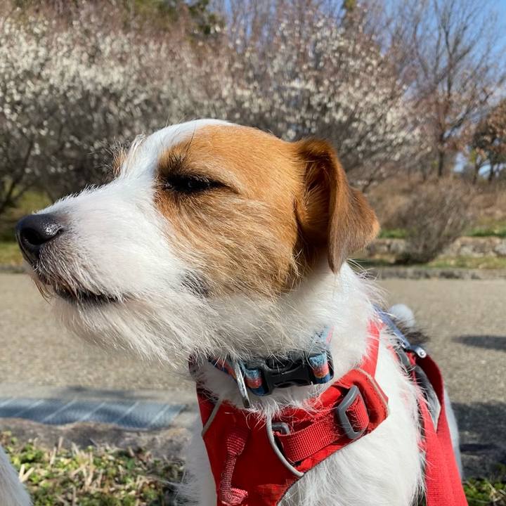 5a670b75 750e 43d4 912e 6065bda4f42d 1676206866279