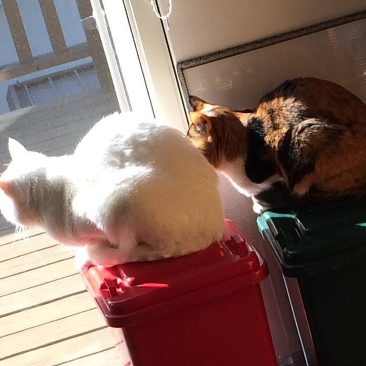 5a6746b3 6b44 46a9 ba6f 952efadd0027 1583971326905