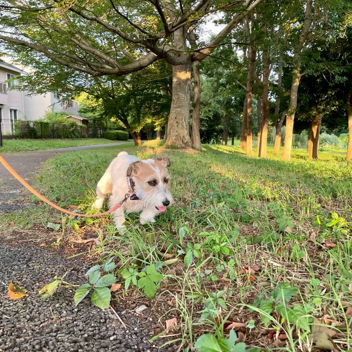 5a676993 04ec 4f84 ae0f 65394dd4121d 1658756817656